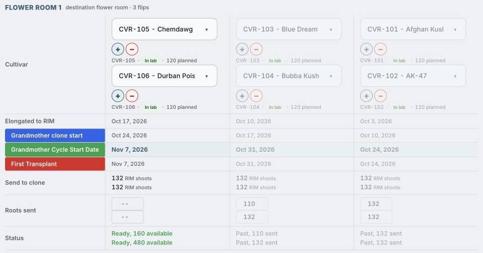 Actual production planner showing six fictional cultivars across three rounds, stage dates, planned targets, recorded past handoffs and current available shoots. Full sidebar omitted.