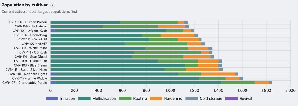 Actual population chart showing the 15 largest cultivar populations from an 18-cultivar fictional lab, across initiation, multiplication, rooting, hardening and cold storage.